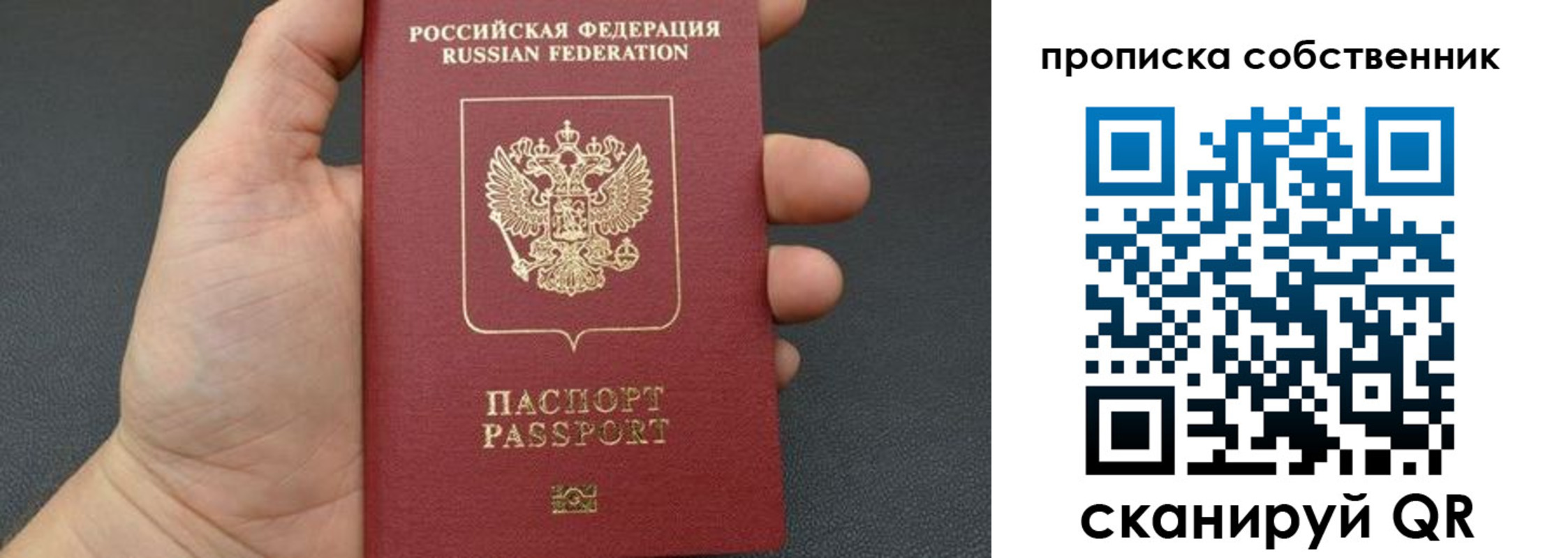 прописка паспорт в Палласовке